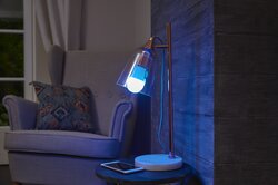 ZigBeeA19_041_Blue