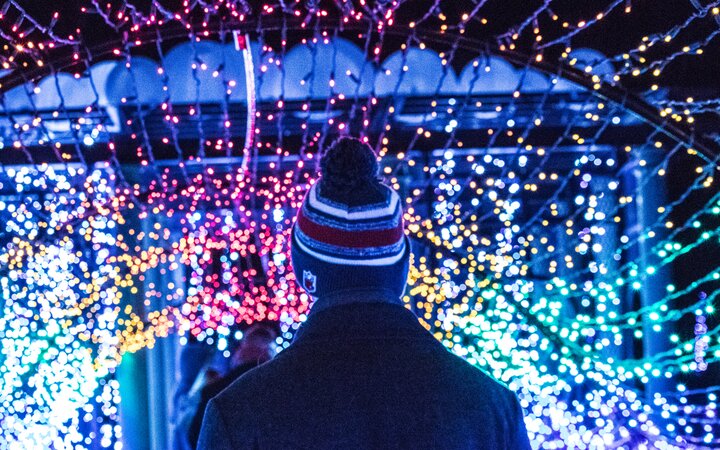 Trucos LEDVANCE para iluminar la Navidad y ahorrar en la factura de la luz
